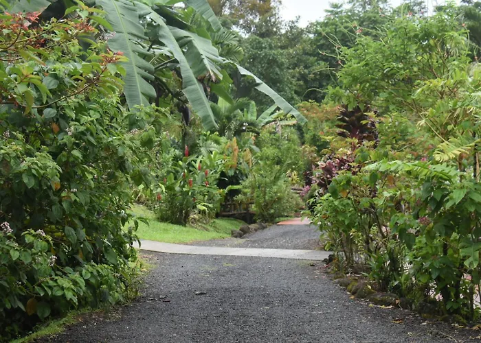 Hotel Roca Negra Del Arenal